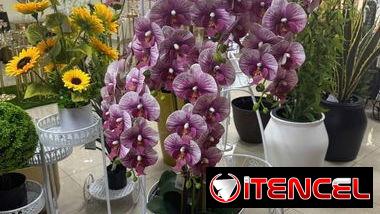 Búcaro Blanco con Orquídeas Grandes