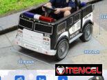 Carro eléctrico