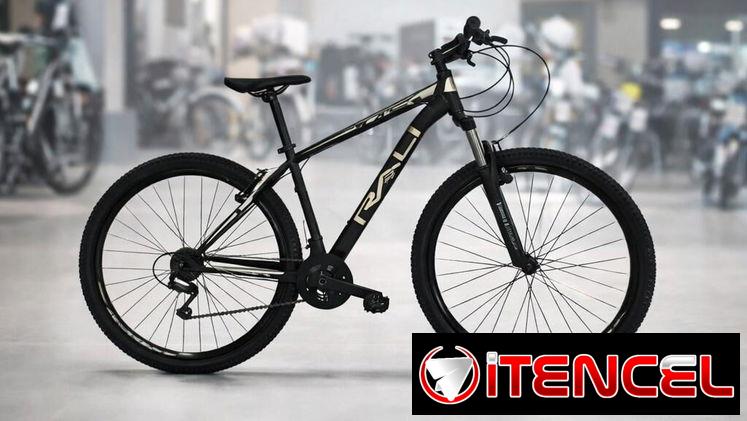 Bicicleta 29