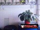 Vendo o permuto apartamento de 3 cuartos Marianao