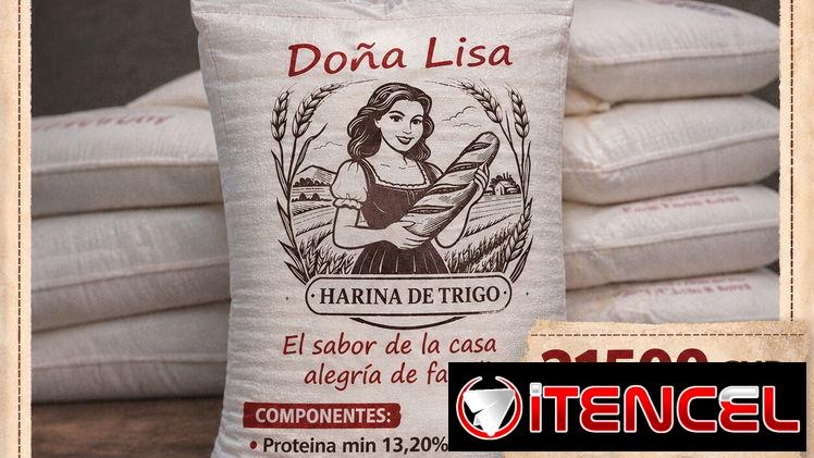 HARINA de trigo TURCA DE 25kg recién llegada (super fresca)