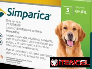 d75a190f128fa00971fecdcaefe53b06dc845baf2ff49cce7159ac30ff281144