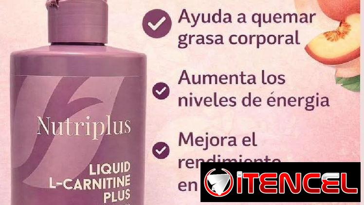 L-Carnitina