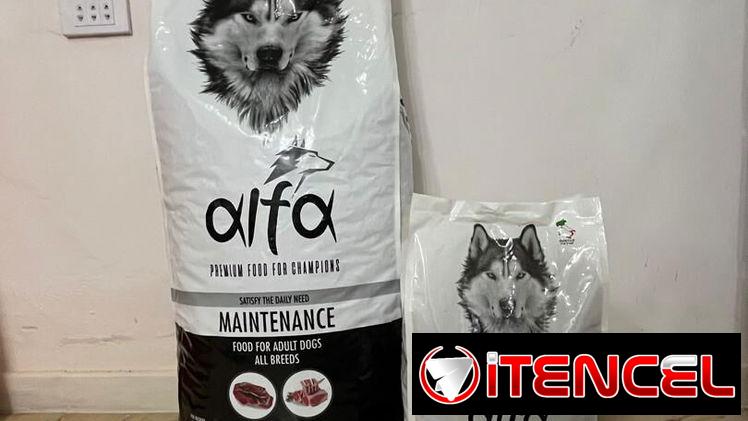 Pienso para perros adultos