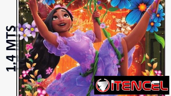 Afiche Temático y globos varios