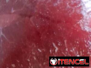 e10eca6368e4d07a765d30708ad04199f7c0cdb547ec31eb6391b81f625180b5