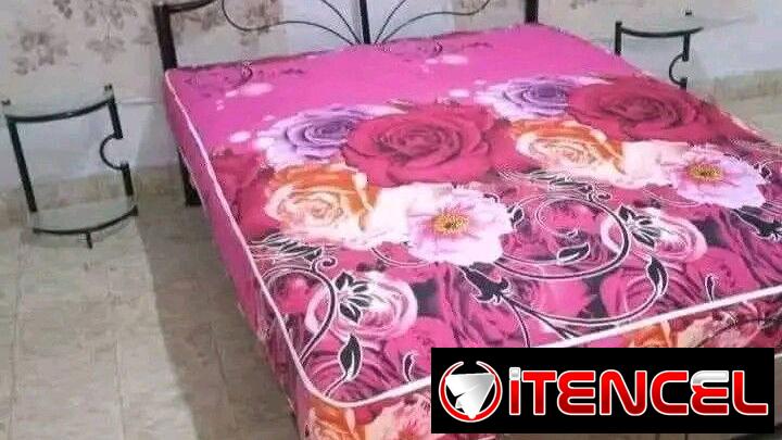 Cama de Tubo con Envío Gratis