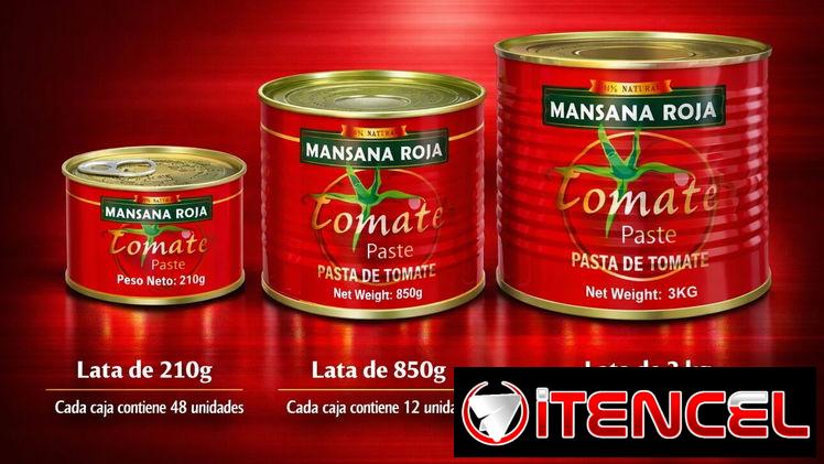 Pasta de tomate ¨Mansana Roja¨ de diferentes gramajes