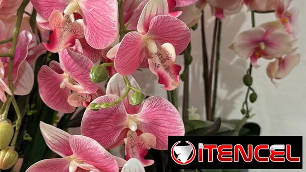 Orquídea artificial en su maceta 🌺