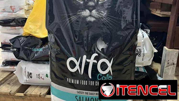 Pienso para gatos sabor Salmón