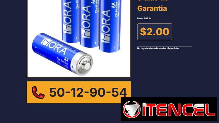 PAQUETE DE 4 BATERÍAS AA 1 HORA GAR136 VPT# -0009