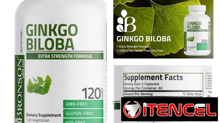 Ginkgo biloba
