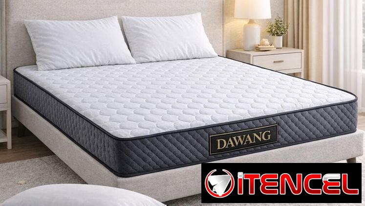 Domicilio Gratis!!! 🛏️ Colchón DAWANG