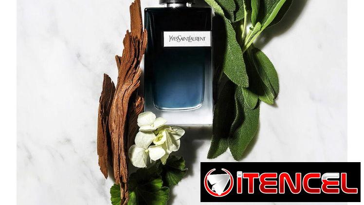 Perfumes de Nicho