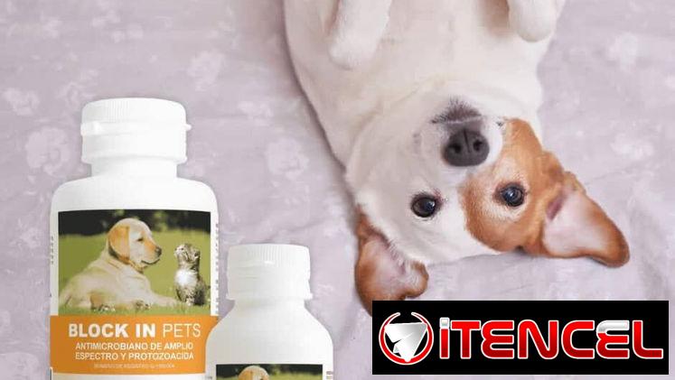 Anti diarrea para perros y gatos