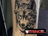 Tattoo, tatuaje, tatuador