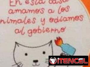 fbae609fcd8cb4f8522013e8dffd5c1baa6b87aed00b4ef79fe0fb254d115622