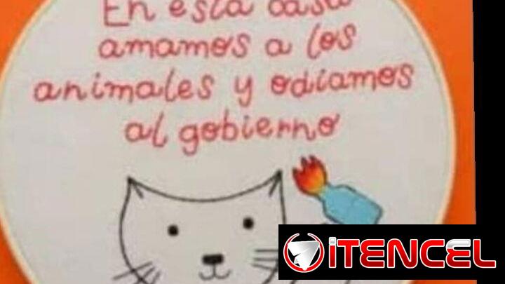 Busco trabajo