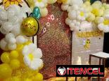 Fiestas de Cumpleaños‼️‼️‼️