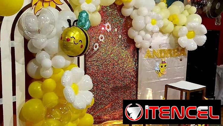 Fiestas de Cumpleaños‼️‼️‼️