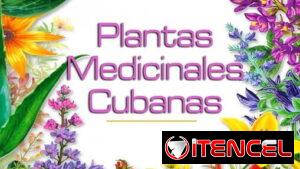 PLANTAS MEDICINALES CUBANAS. LIBRO COMPLETO. LEEME AHORA