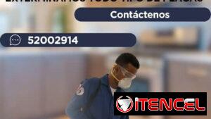 Fumigación Y Calidad Un Mismo Significado.
