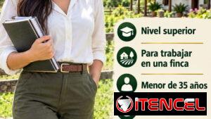 EMPLEO SOLO WHATSAPP