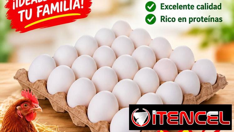QUESO GOUDA ALEMÁN, HUEVOS BLANCOS Y HELADOS