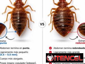 04979ac871905ff893c5213bdc9c976668340d6e2fc8e8831c1f13ce13f5e29f