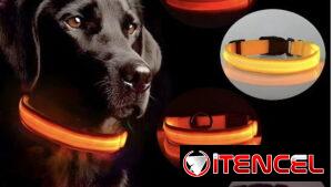 Collares Luminosos Led para perros, con bateria. Nuevos