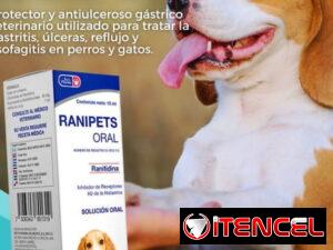 05cb1f47387775b595c3efd9dbeac4cb37db5938a808e7d7ed3a61bc9e5323e3