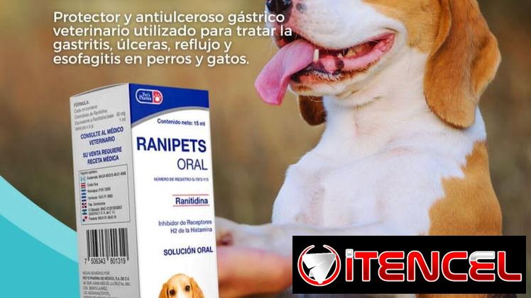 RANIPETS ORAL – Ranitidina
