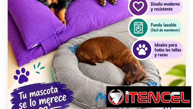 Para Tus Mascotas