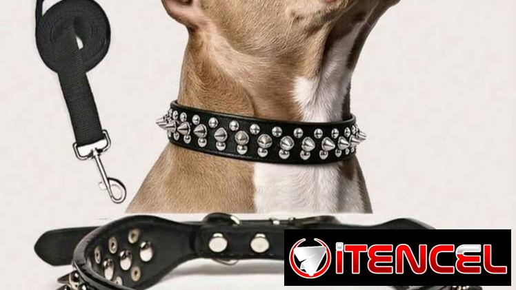 Collar de Púas XXL