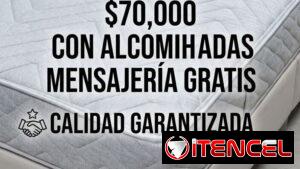 Tengo variedad de ofertas!! Todas con domicilio gratis