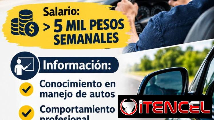 Profesor para chóferes