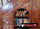 🏡 HOSTAL JACINTO & NANCY – TRINIDAD, CUBA 🇨🇺