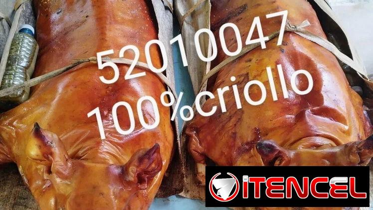 Comida cubana ,comida criolla,puerco asado ,pierna asada — foto 1