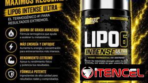 🛒✔ Lipo 6 Amarillo Intenso quemador de Grasa 60 Tabletas 25$