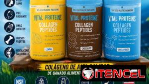 Colágeno hidrolizado 30 usd
