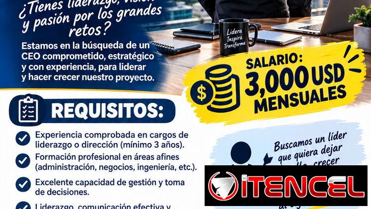 Buscamos CEO para nuestro proyecto
