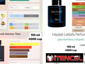0fd1e810a9a2cf805bbcc94f169fbf24b3edf933ab4e331feae84ea038a5a6b6