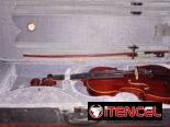 ✨Violín acústico✨