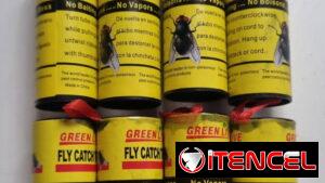 Cintas para moscas