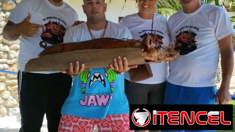 Cerdo asado de 60 libras para 20 personas