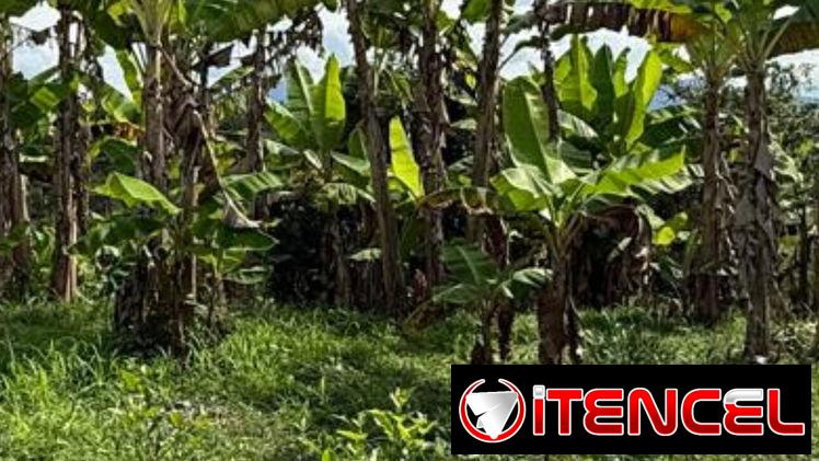 Compro terreno con mínimo 1000 metros cuadrados — foto 1
