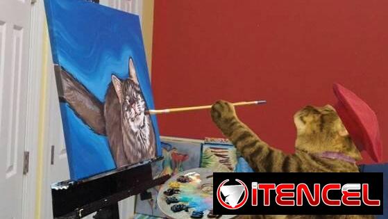 EL REGALO PERFECTO PARA TU MASCOTA (2500 MN EN ADELANTE) — foto 3