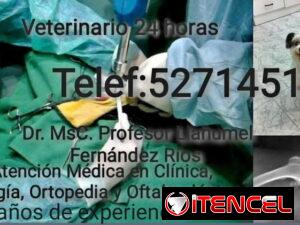 135976b14584b2e762b65d5e83779f5094b30ab61c3fdee4a43139fc877d8901