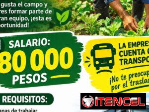 13705ef8dd954115c3452ef14108a16dc60e5fc54e9492a9180ca5107579ecf7