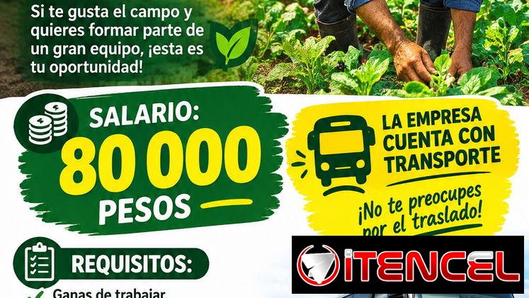 Buscamos trabajador agricola